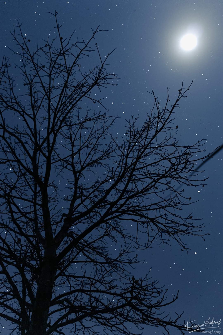 Night sky