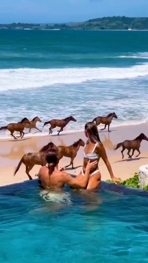 Море