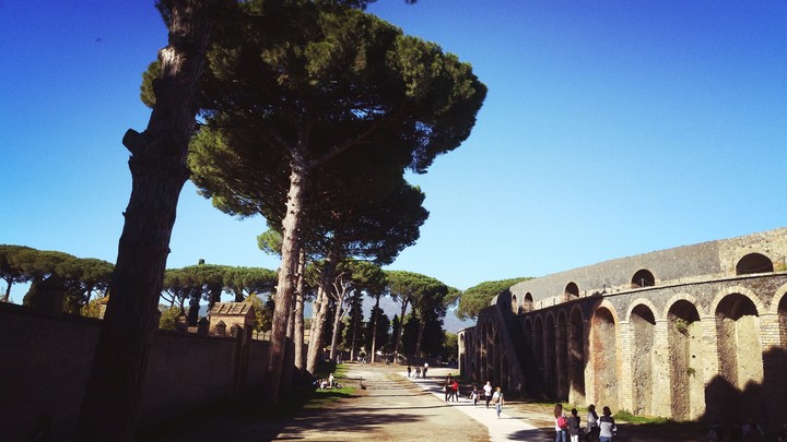 Pompei - città museo. Napoli. Italia ♡