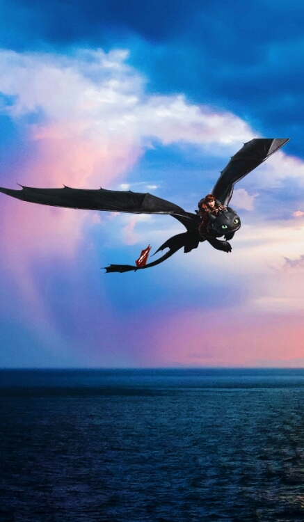 How to train your dragon