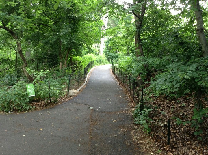 Central Park