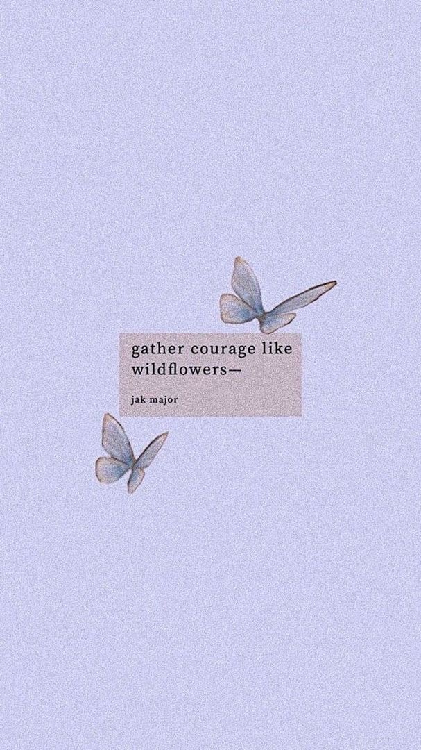 ✨