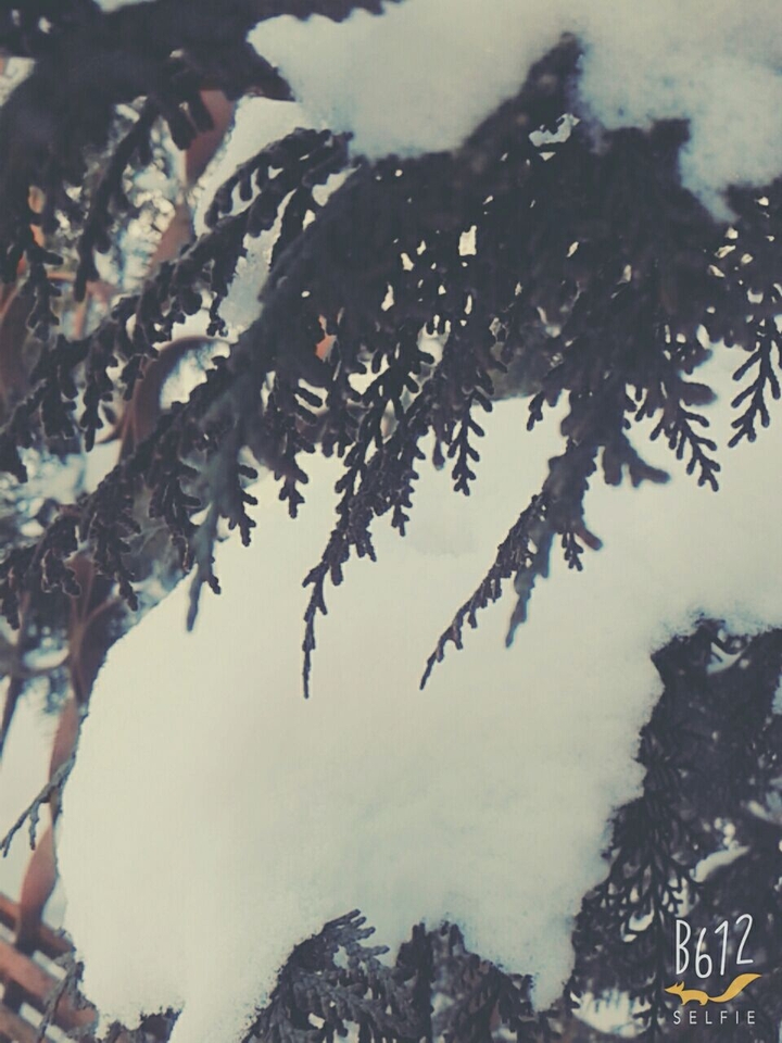 й