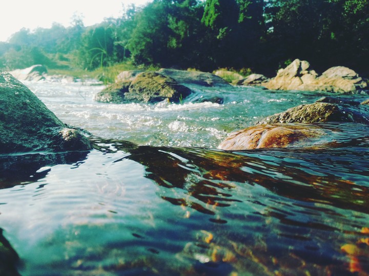 nature