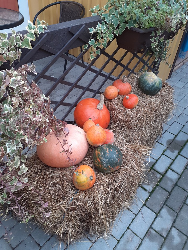 Pumpkins