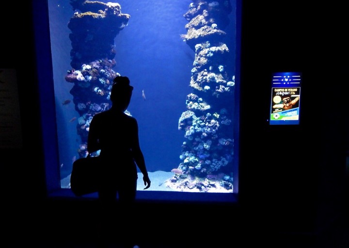Palma Aquarium