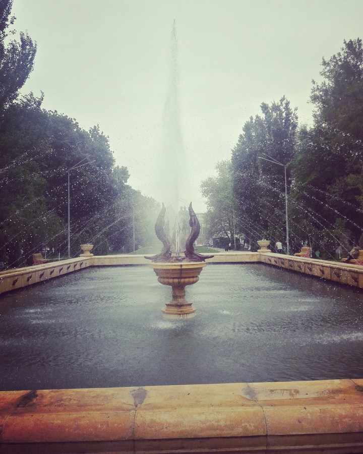 парк и фонтан