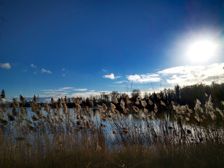 for a winter walk