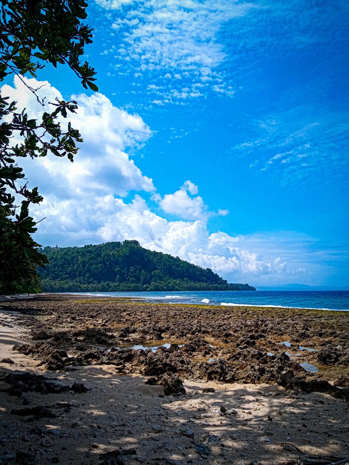 Lanscape