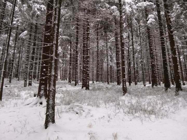 winter