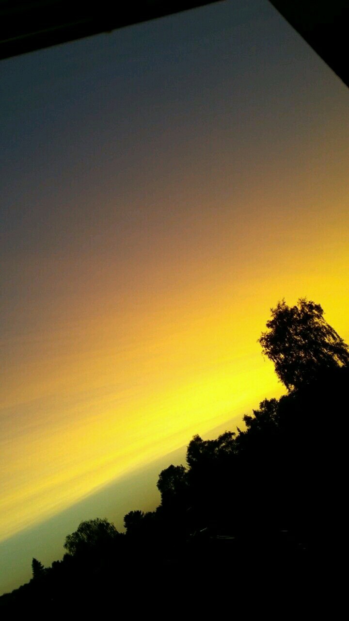 yellow sky