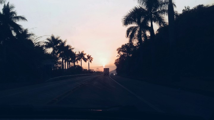 paradisiac