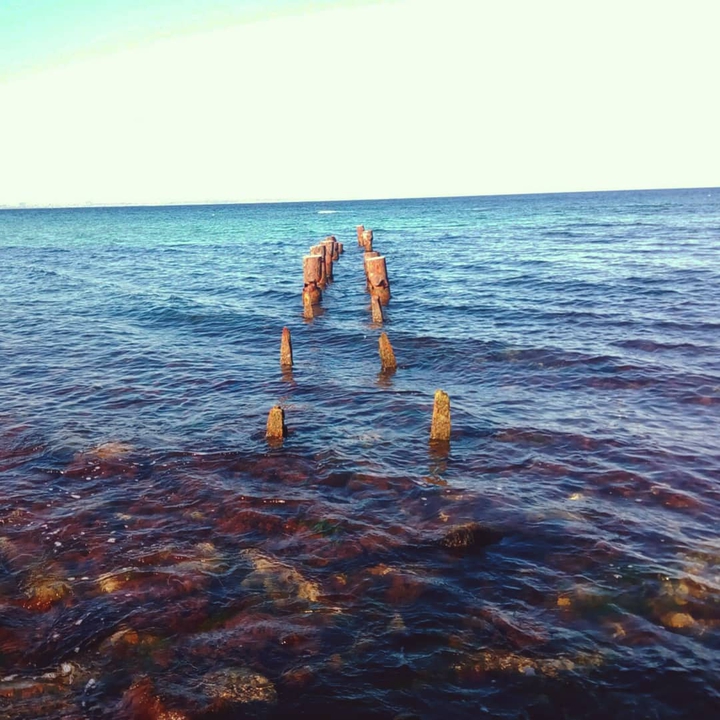 Black Sea
