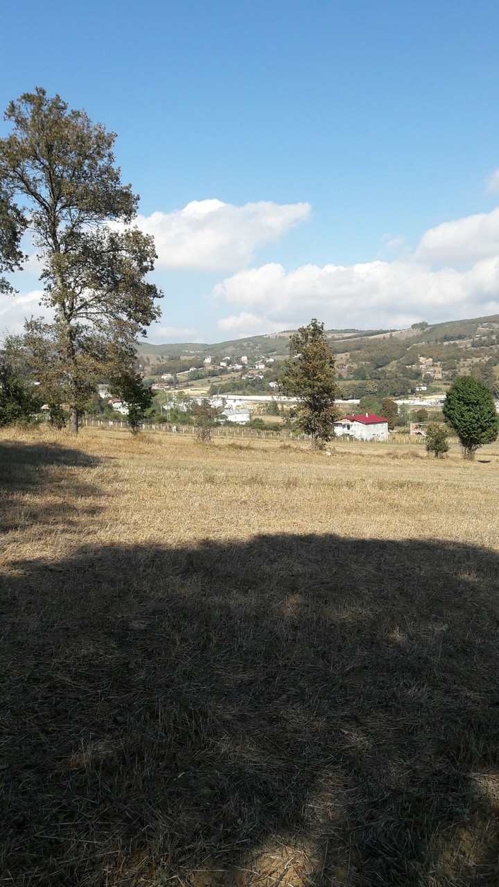 Samsun-saraykent koyunden bir cekim