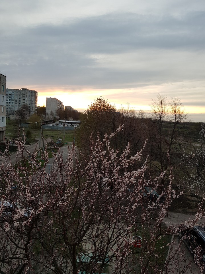 spring