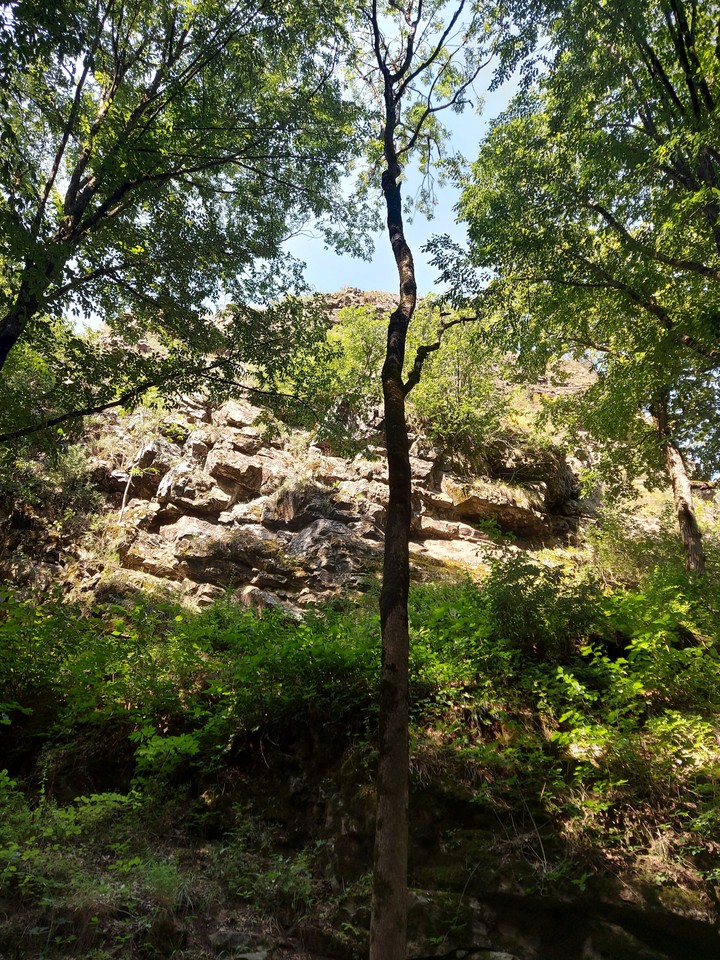 Nature