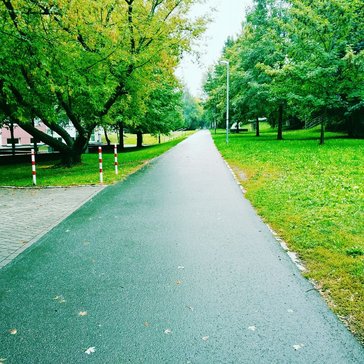 the never ending pathway