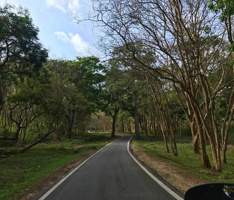 Every road teaches you something