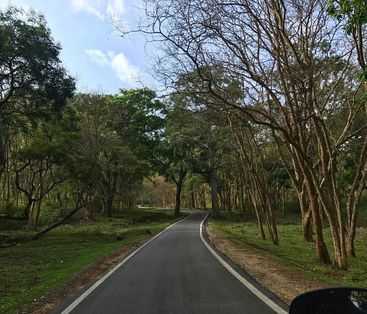 Every road teaches you something