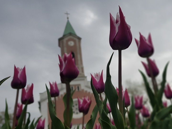 Mid Spring in Hungary