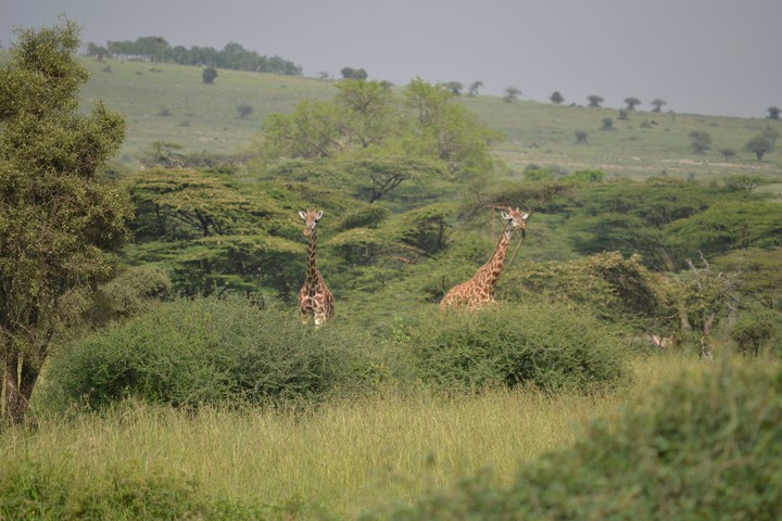 Kenya