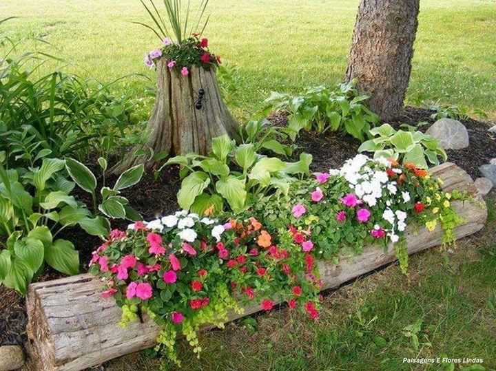 Flores