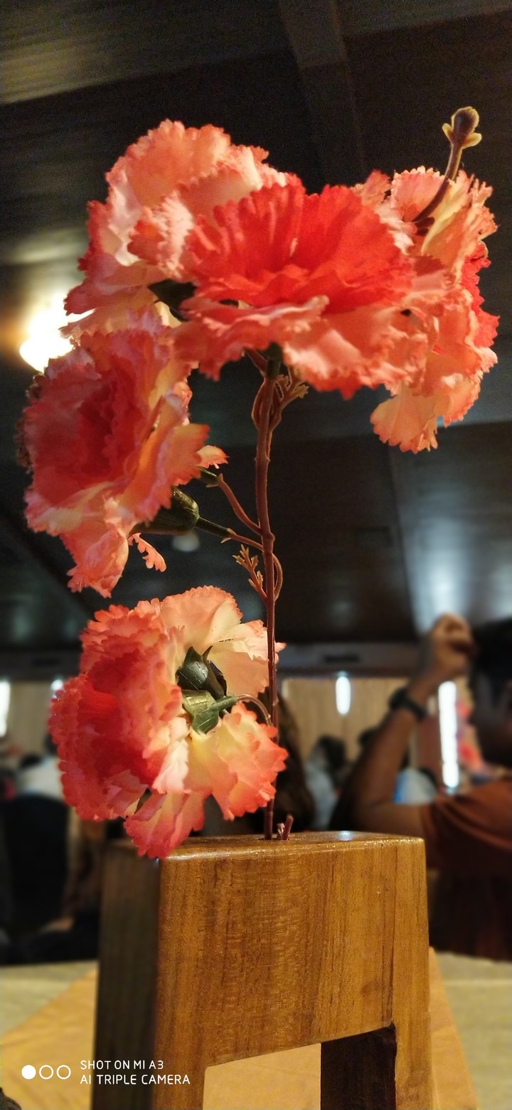 colourful flower
