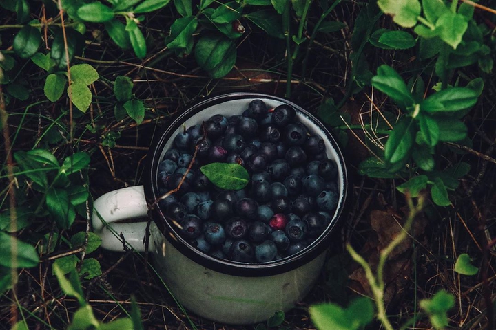 berries