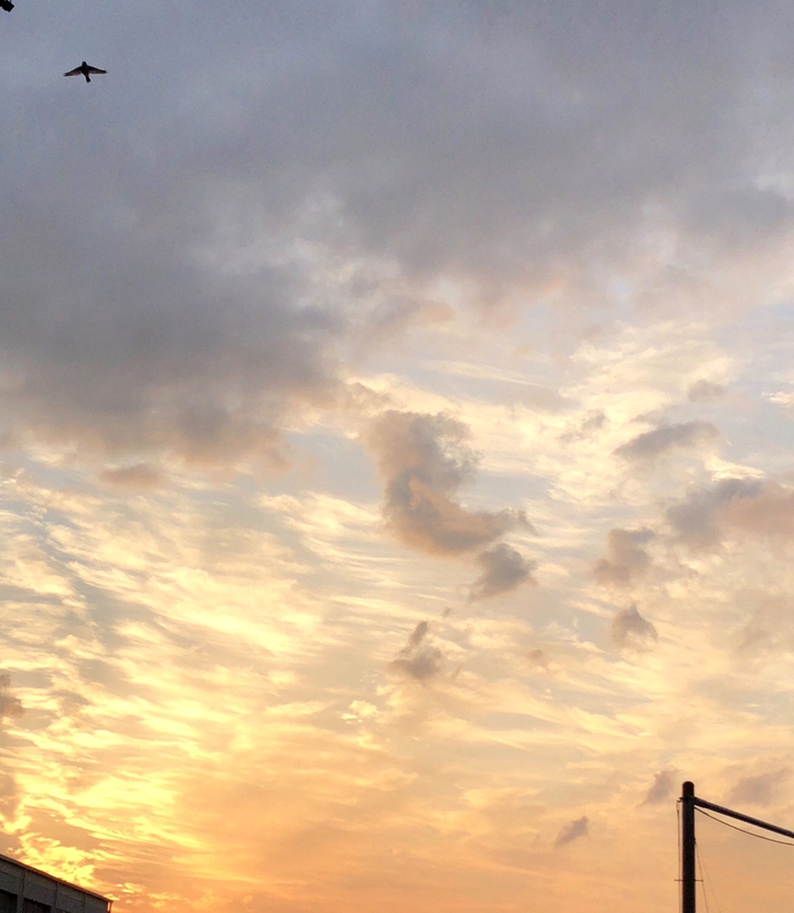 sunrise