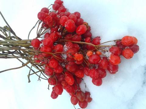 Red and White