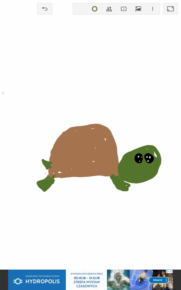 żółw