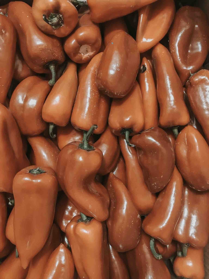 перець