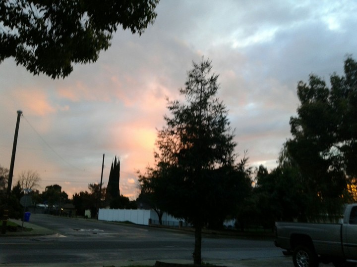 beautiful clouds & tree