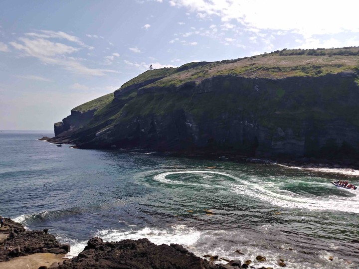 제주도의 친구 (A friend of Jeju Island)