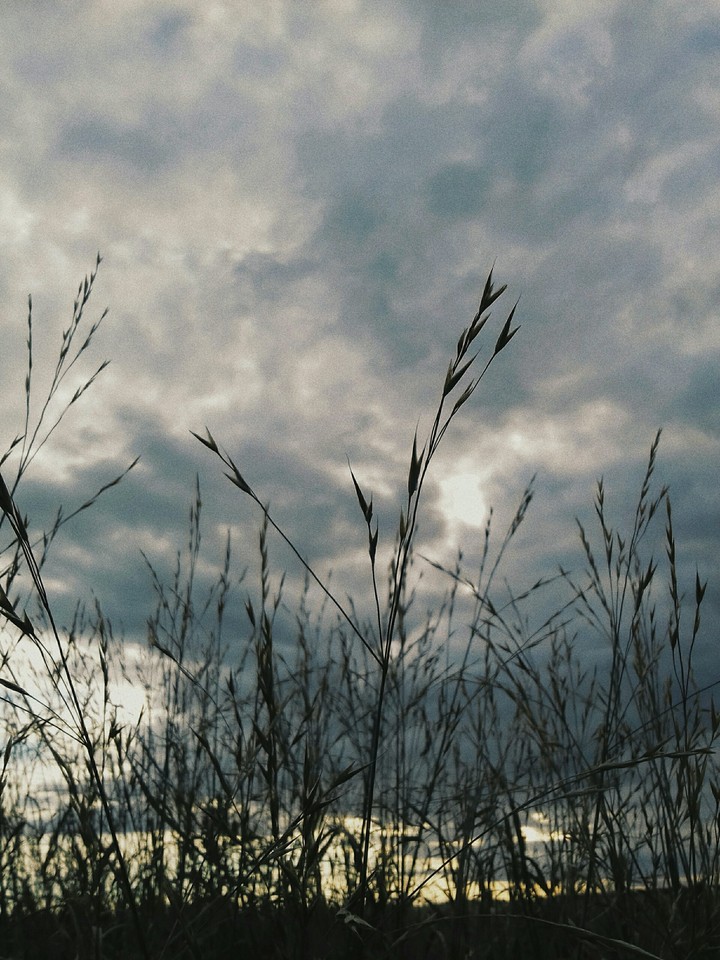 look at the sky