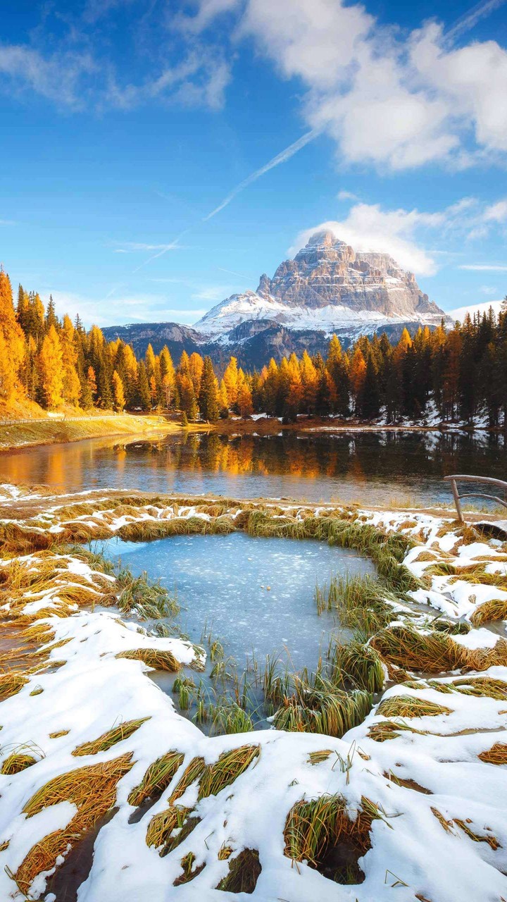 Be where the trees are in the mountains...