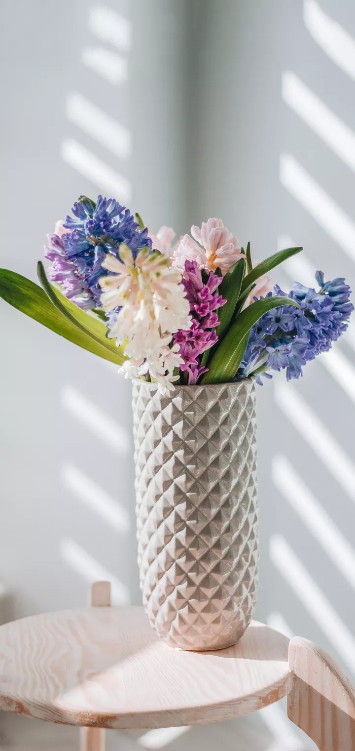 Fresh Flowers