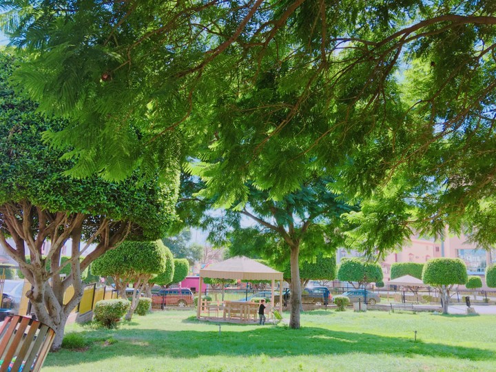 Abha Park