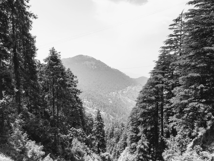 View of #HimachalPradesh Shot On Asus Zenfone Max pro M1
