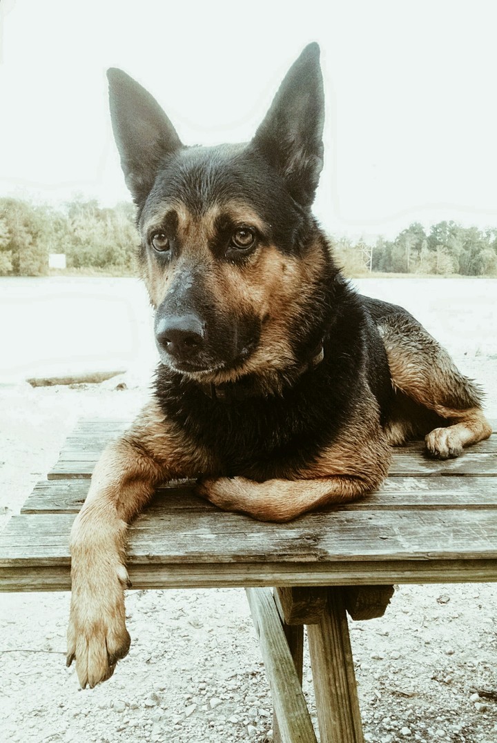 Max