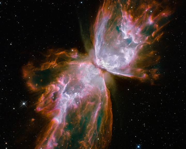 Cosmos