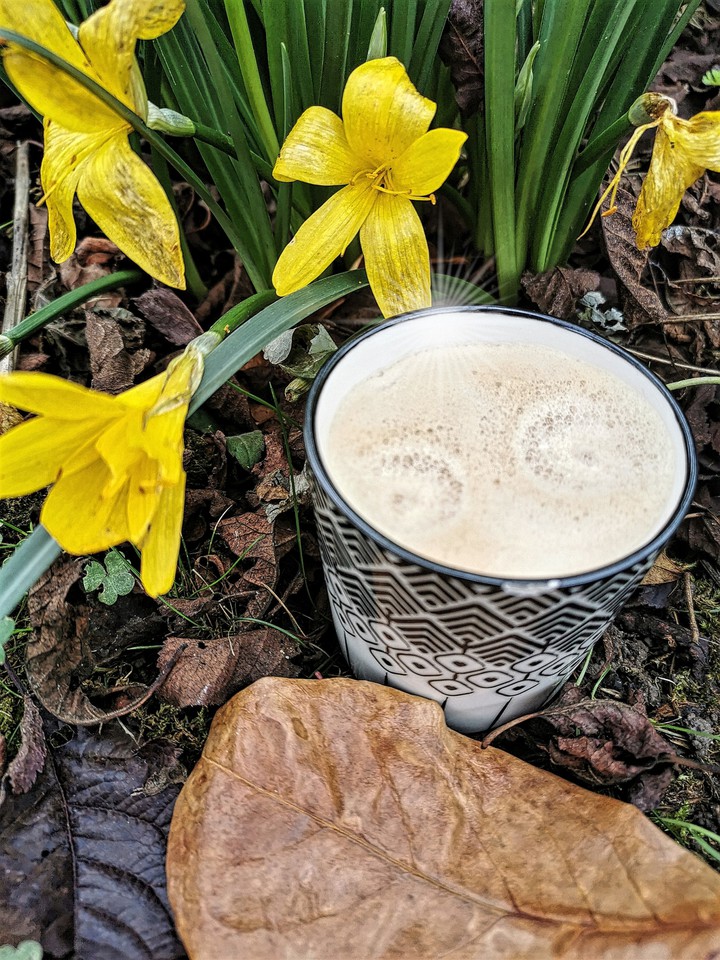 Coffee