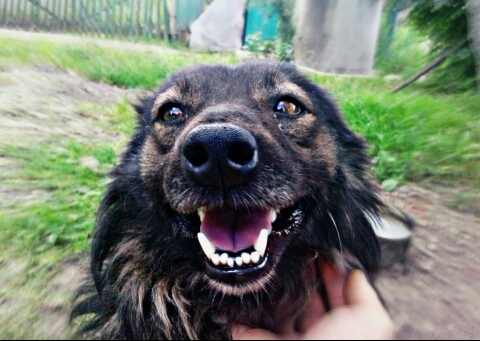 so joyful