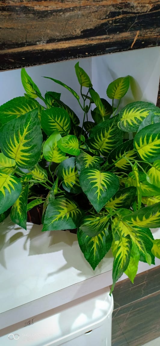 leaf