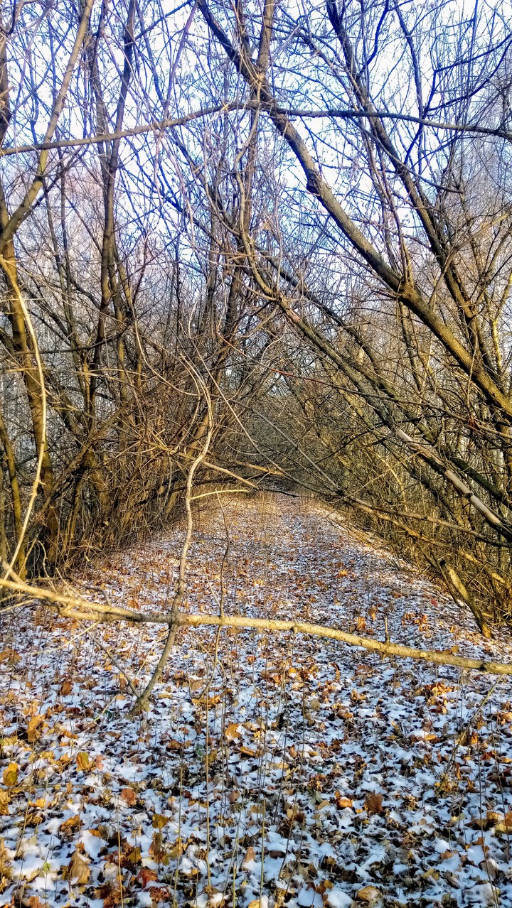 дорога, которой нет