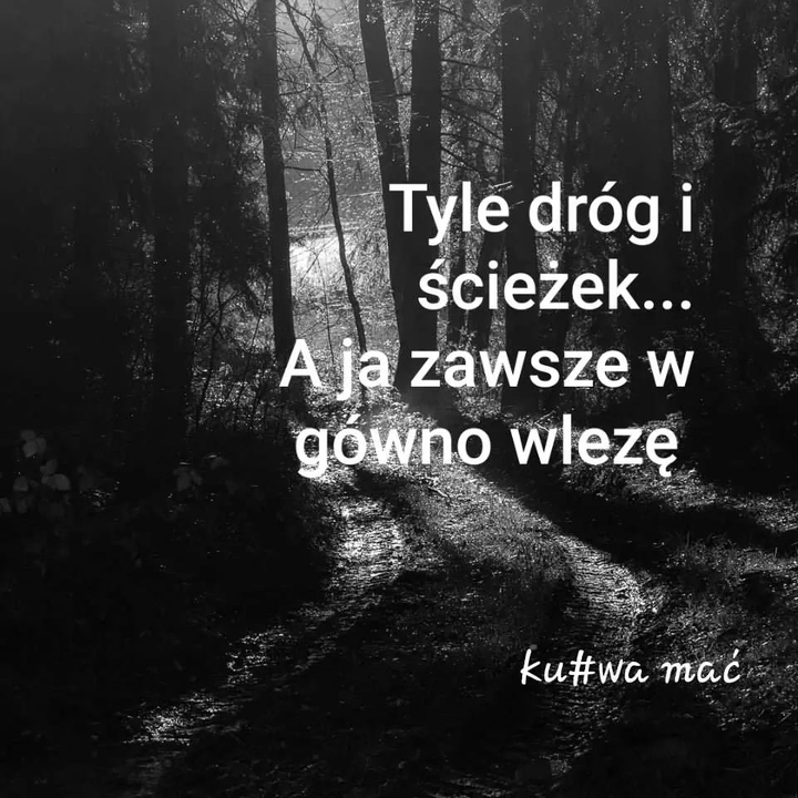 cytat