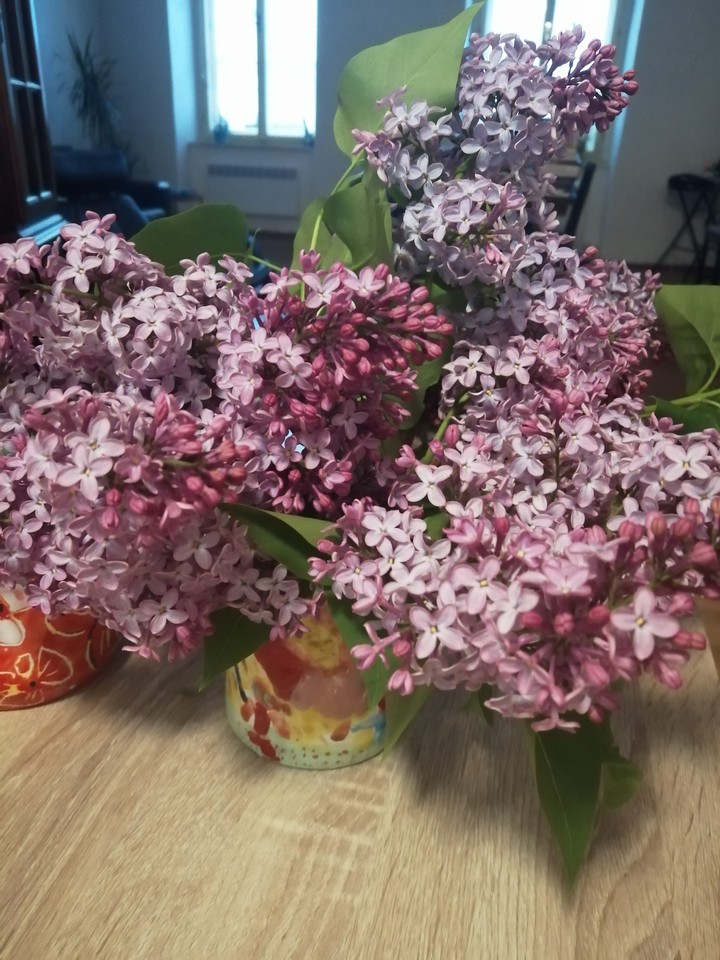 the moment of spring