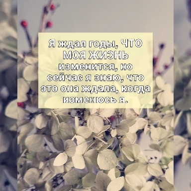 Фабио Волo.
#афоризмы #цитаты #отношения #счастье