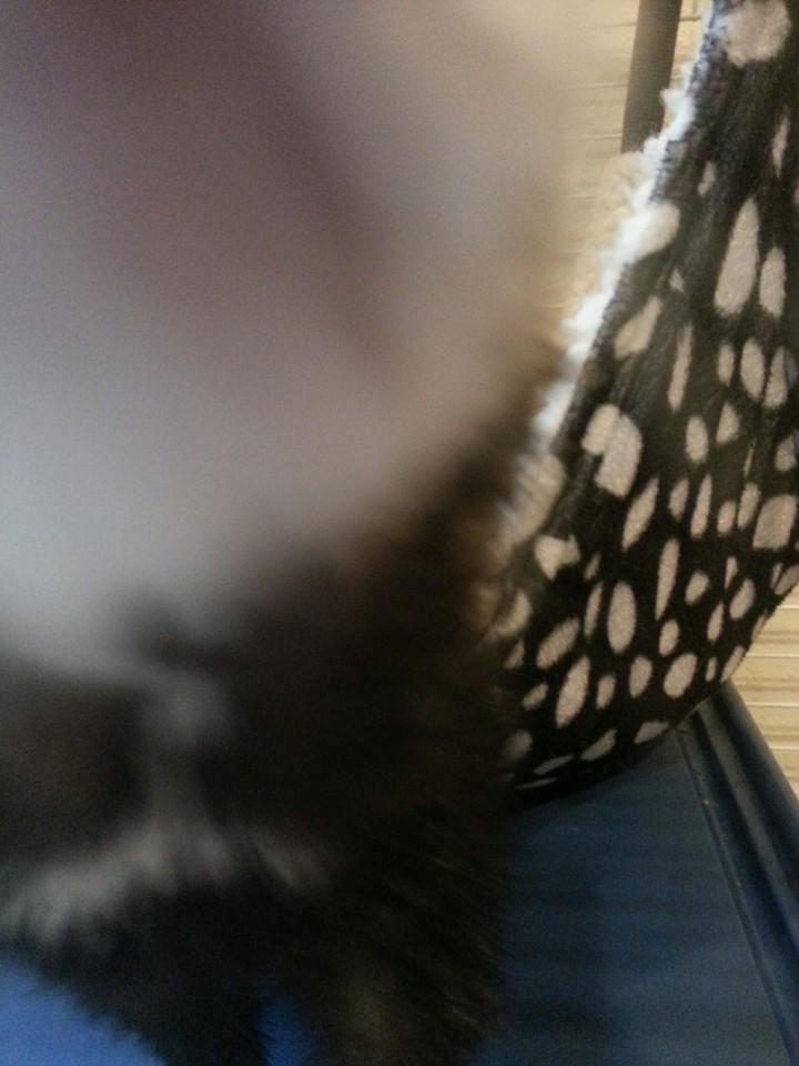 Whats that!? 