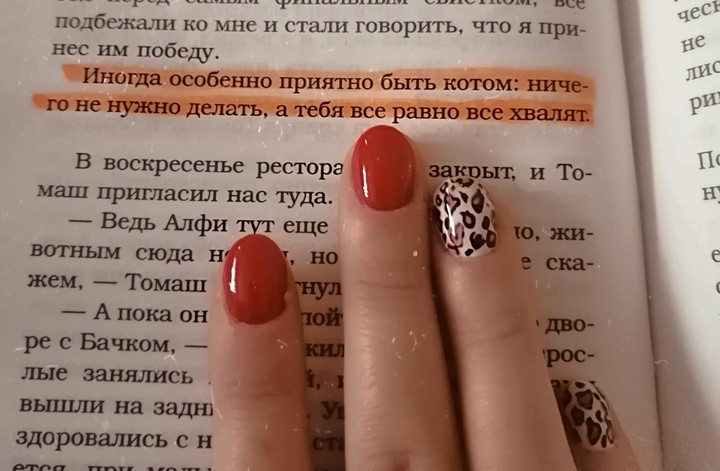 цитата